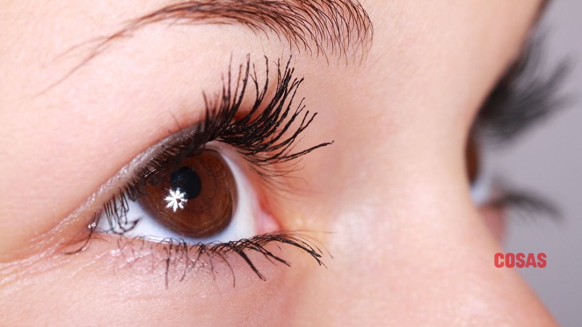 Rímel alargador de pestañas