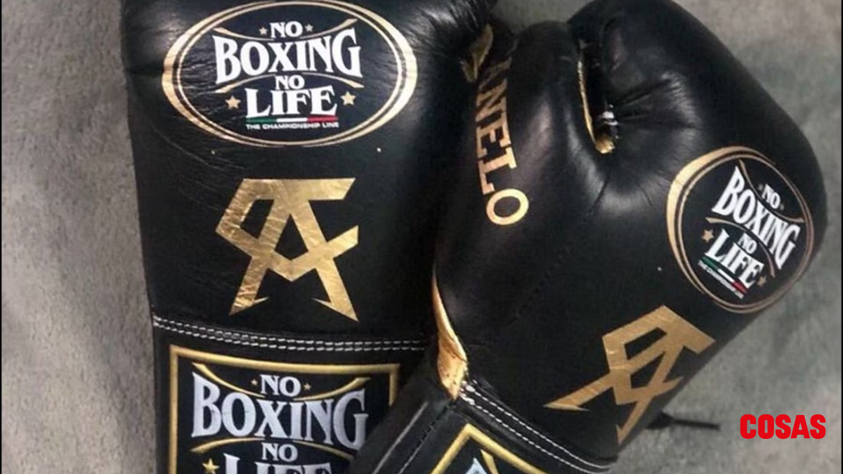 Guantes de Canelo Alvarez a Danna Paola