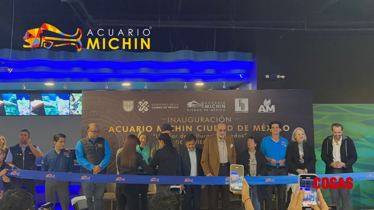 El acuario Michin