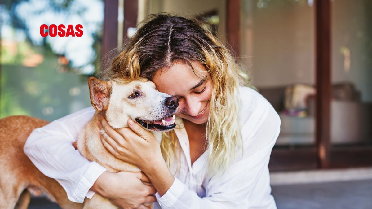 Permisos laborales por muerte de mascotas: una tendencia en crecimiento. | Foto: Canva.