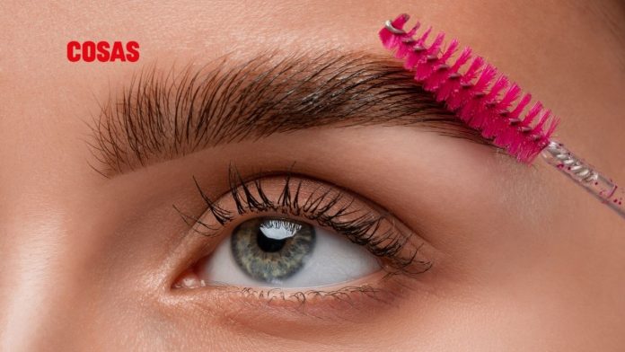 Cejas Lion Mane, la tendencia de 2025 que apuesta por lo natural y frondoso, redefiniendo la estética de la belleza auténtica.