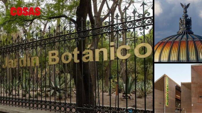 Diversión gratis en CDMX con esta guía de actividades culturales. ¡Explora como nunca sin afectar tu bolsillo!