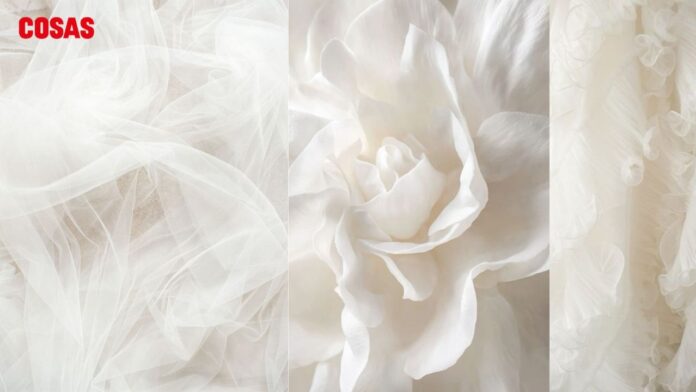 ¿Quieres saber cuál será el color del año 2026? Descubre la tonalidad que dominará las pasarelas y el diseño de interiores.